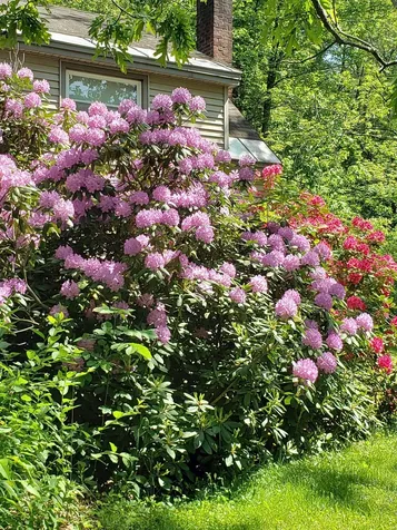 414 Old Guilford Road Brattleboro VT 05301