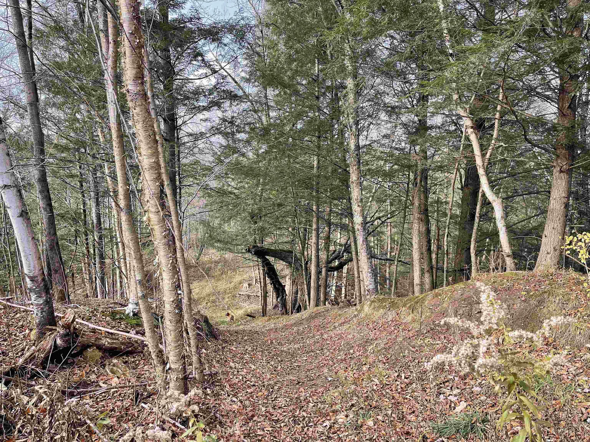 435 Dominion Avenue Troy VT 05859