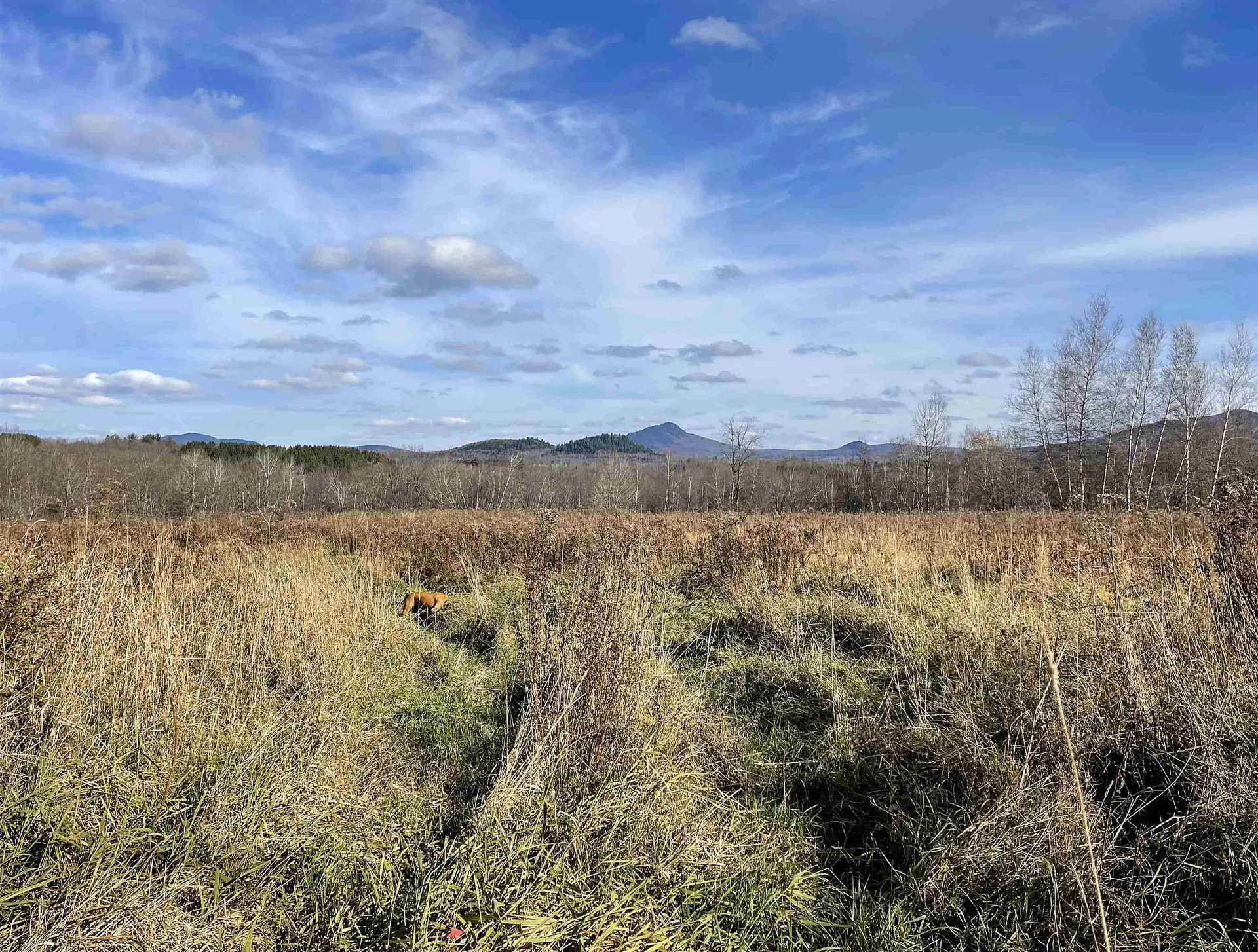 435 Dominion Avenue Troy VT 05859