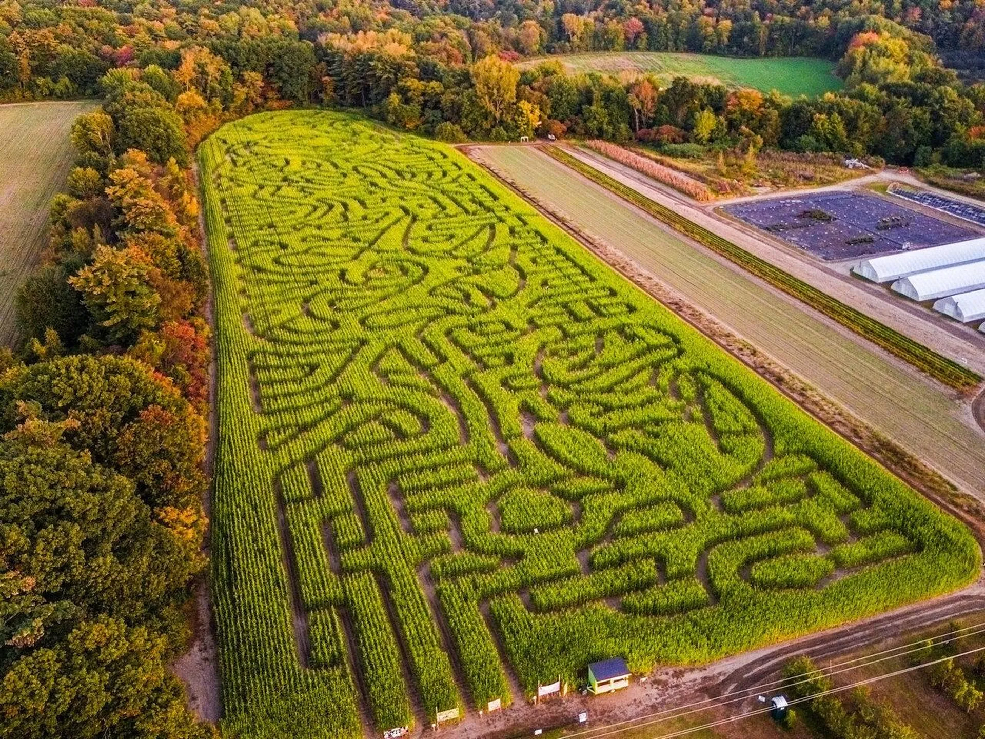 65 Fern Court Colchester VT 05446