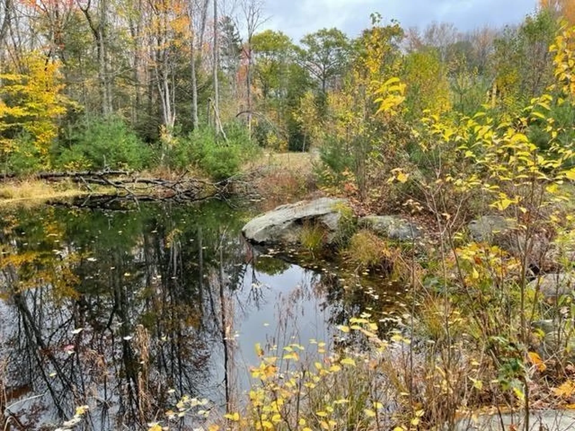 158 Goose Hollow Road Thornton NH 03223