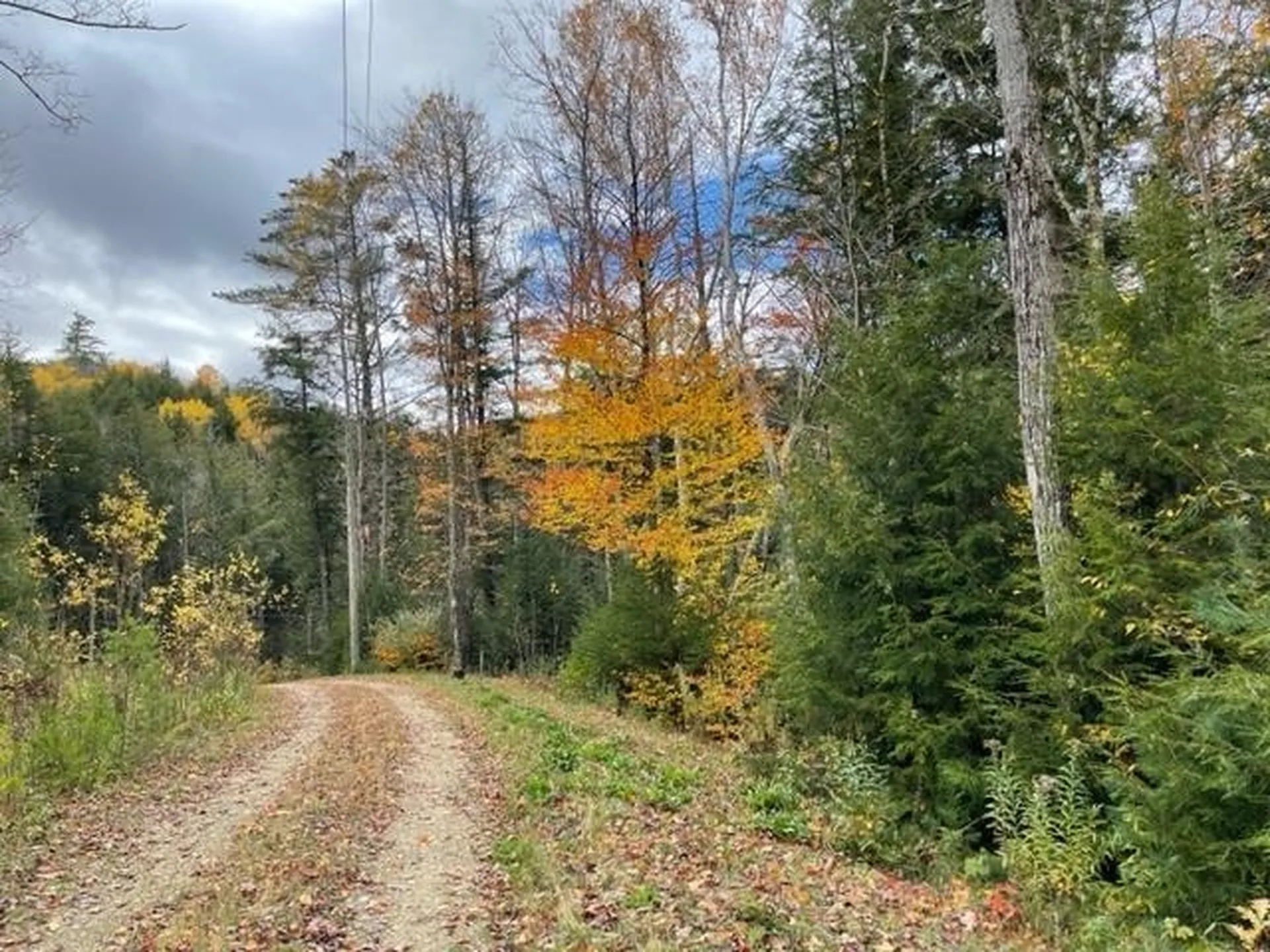 158 Goose Hollow Road Thornton NH 03223