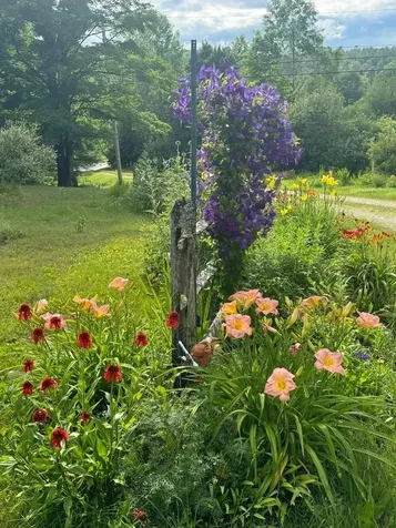 3702 Vt Route 100 Londonderry VT 05155