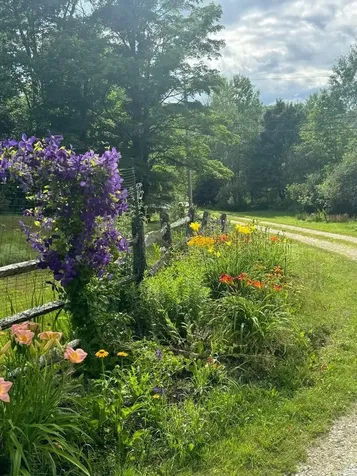 3702 Vt Route 100 Londonderry VT 05155