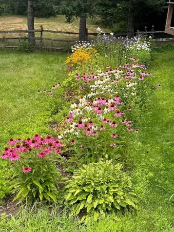 3702 Vt Route 100 Londonderry VT 05155