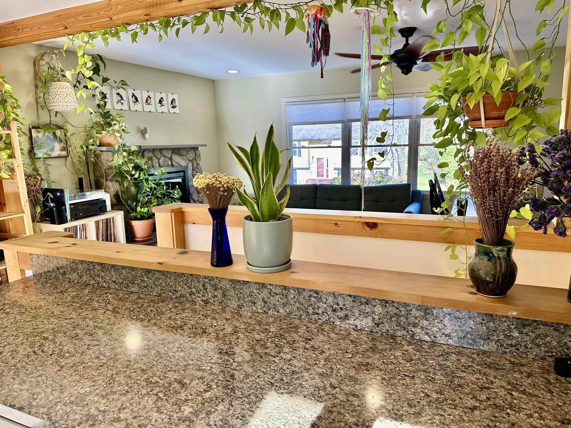 135 Lakeview Drive Shelburne VT 05482