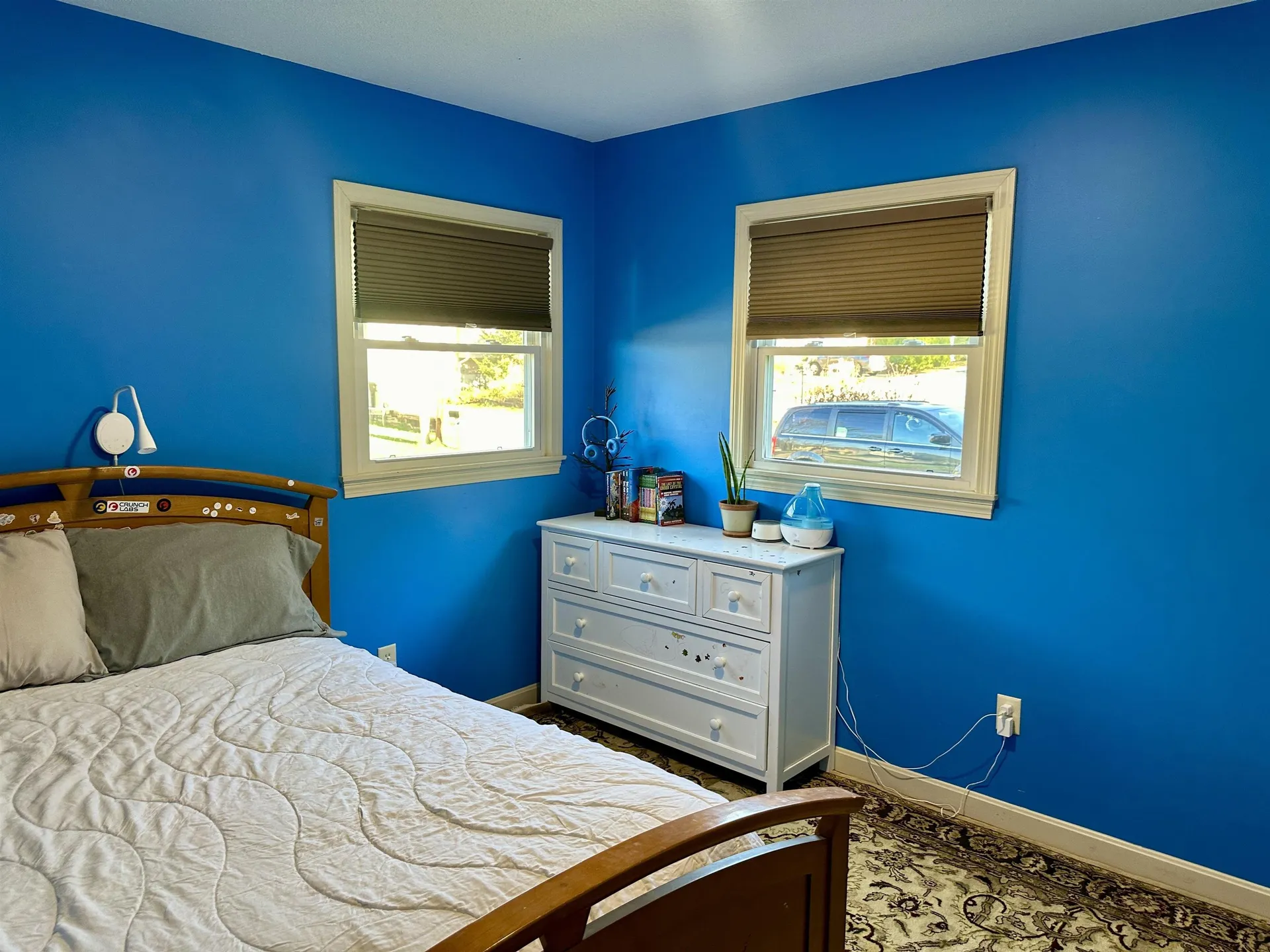 135 Lakeview Drive Shelburne VT 05482