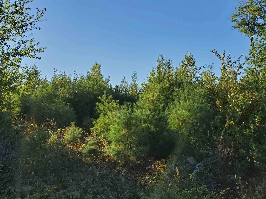 Lot 6 Mallard Drive Canaan NH 03741
