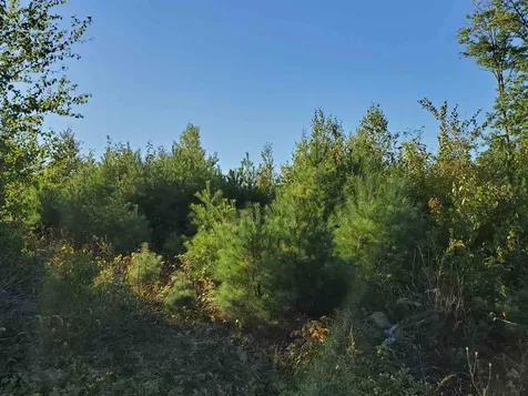 Lot 6 Mallard Drive Canaan NH 03741