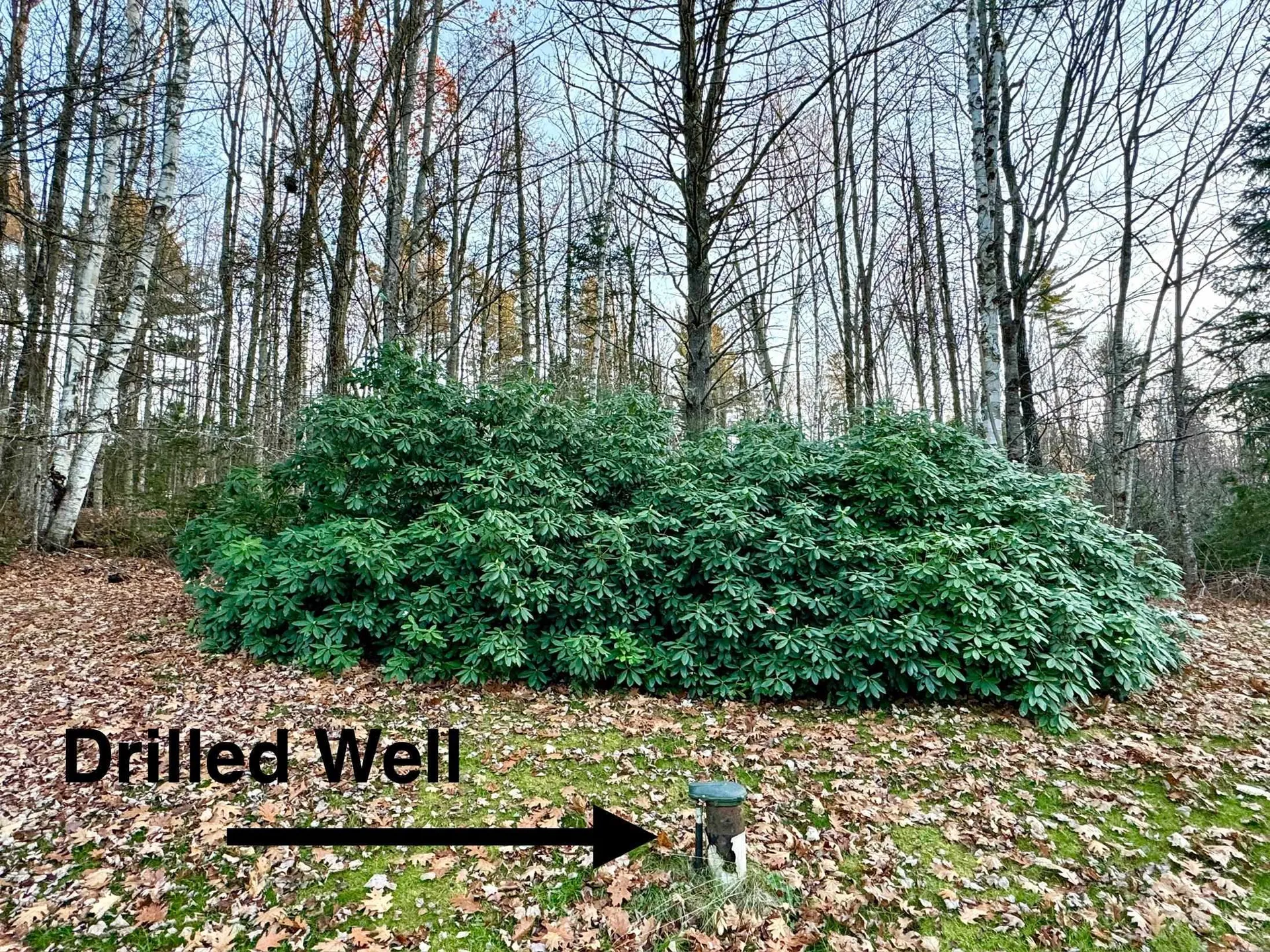 390 Simonds Road Dalton NH 03598