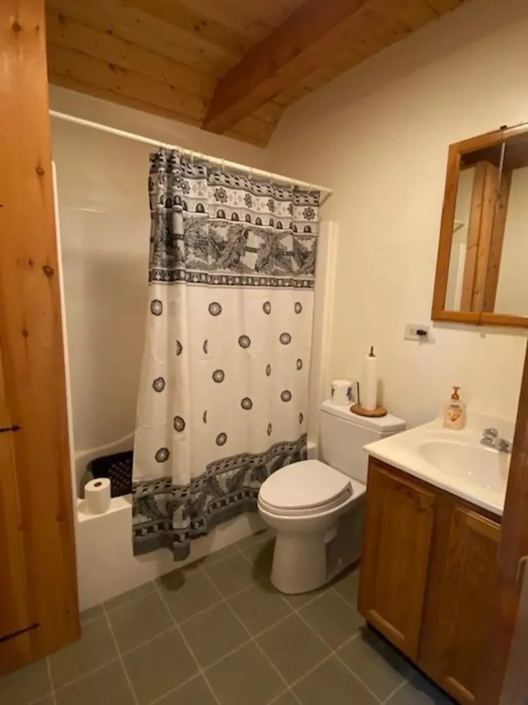 11 Tinmouth Mountain Drive Tinmouth VT 05761