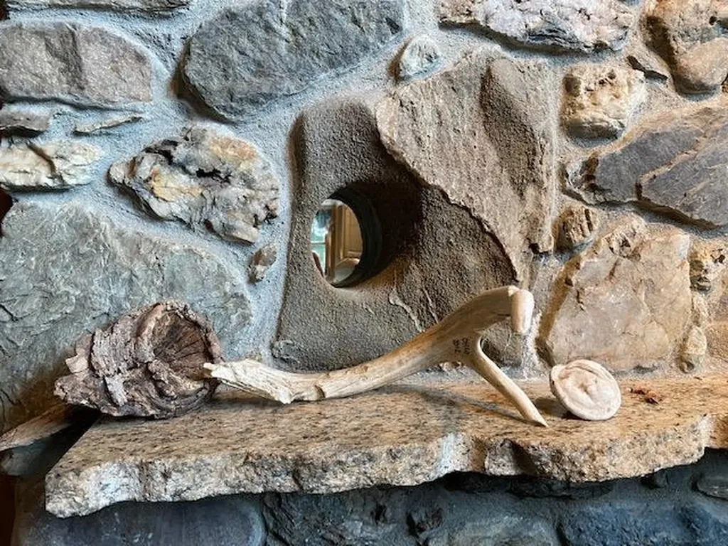 11 Tinmouth Mountain Drive Tinmouth VT 05761