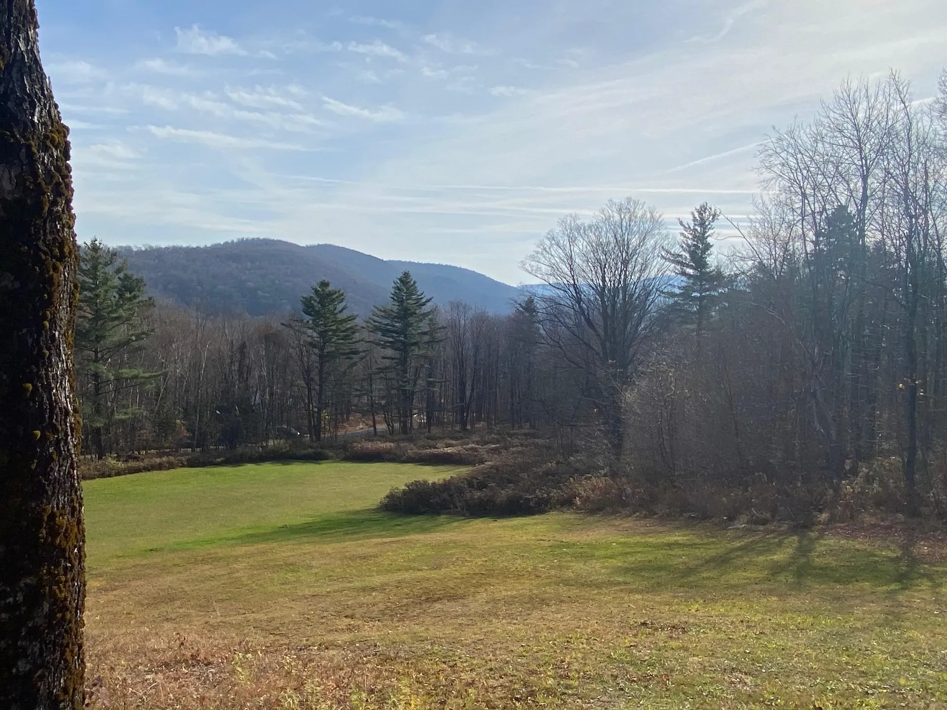 11 Tinmouth Mountain Drive Tinmouth VT 05761