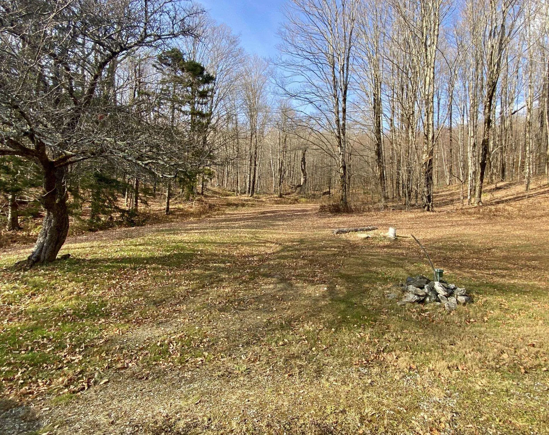 11 Tinmouth Mountain Drive Tinmouth VT 05761