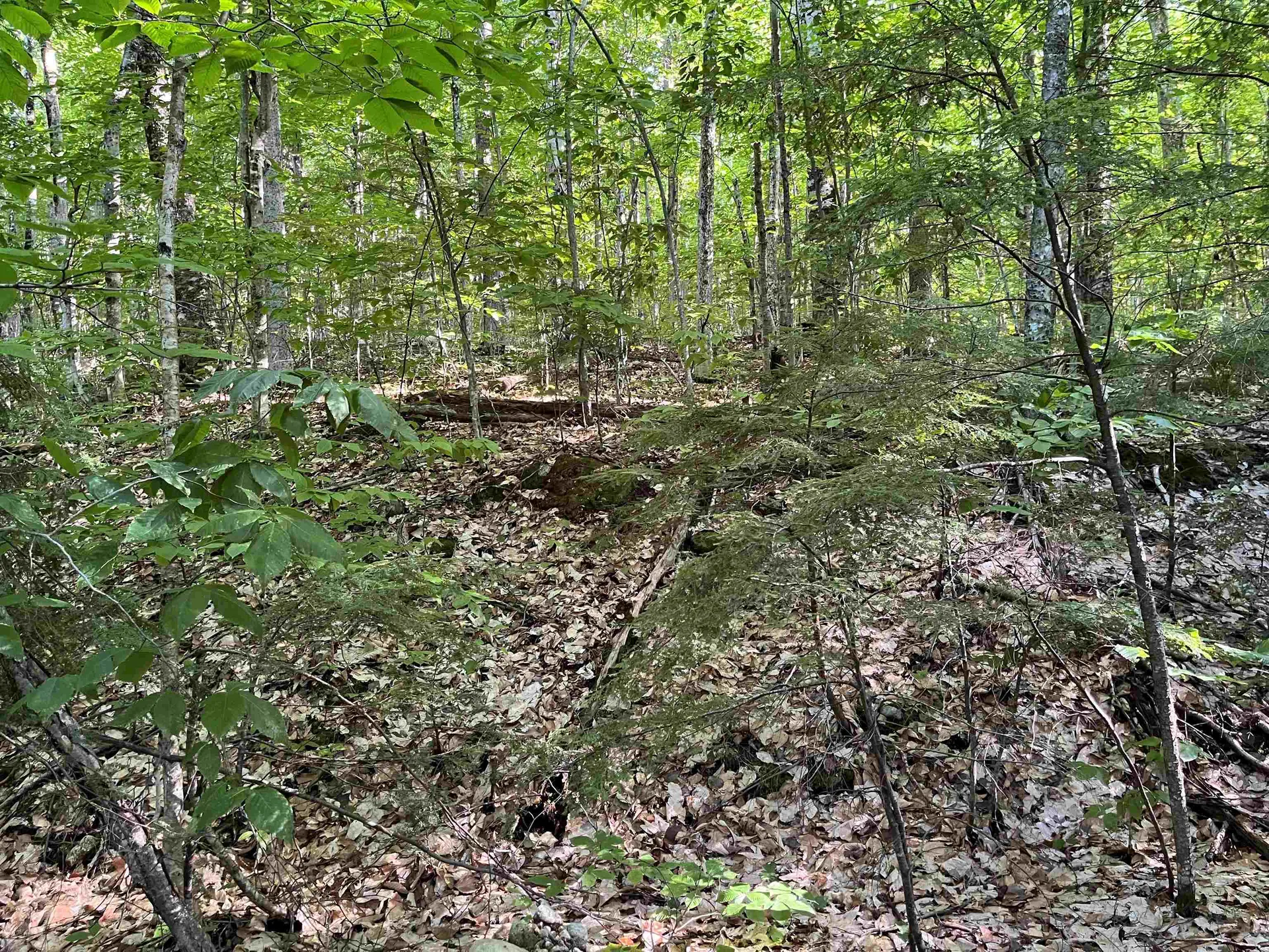 48 Amden Place Madison NH 03849