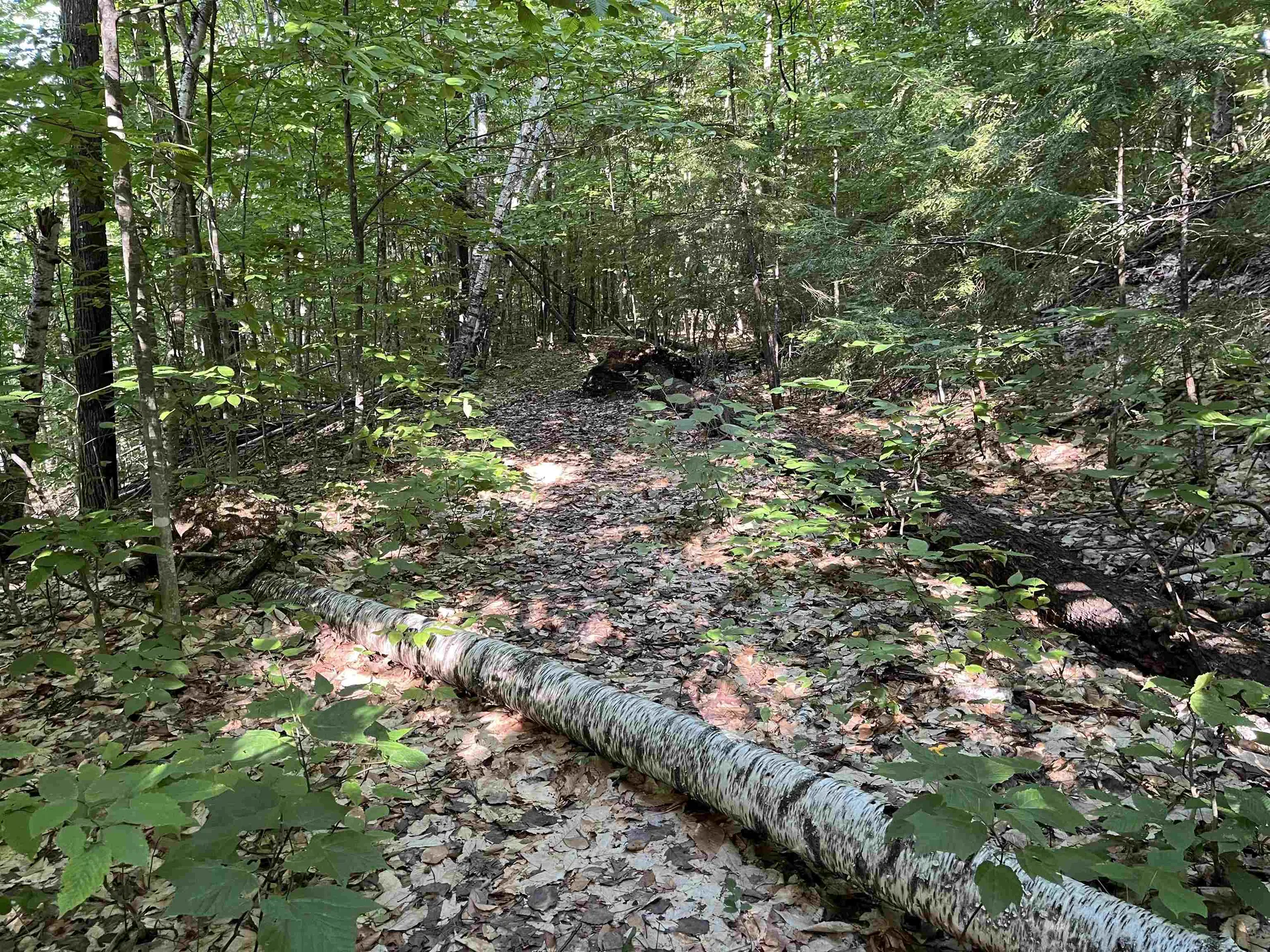 48 Amden Place Madison NH 03849