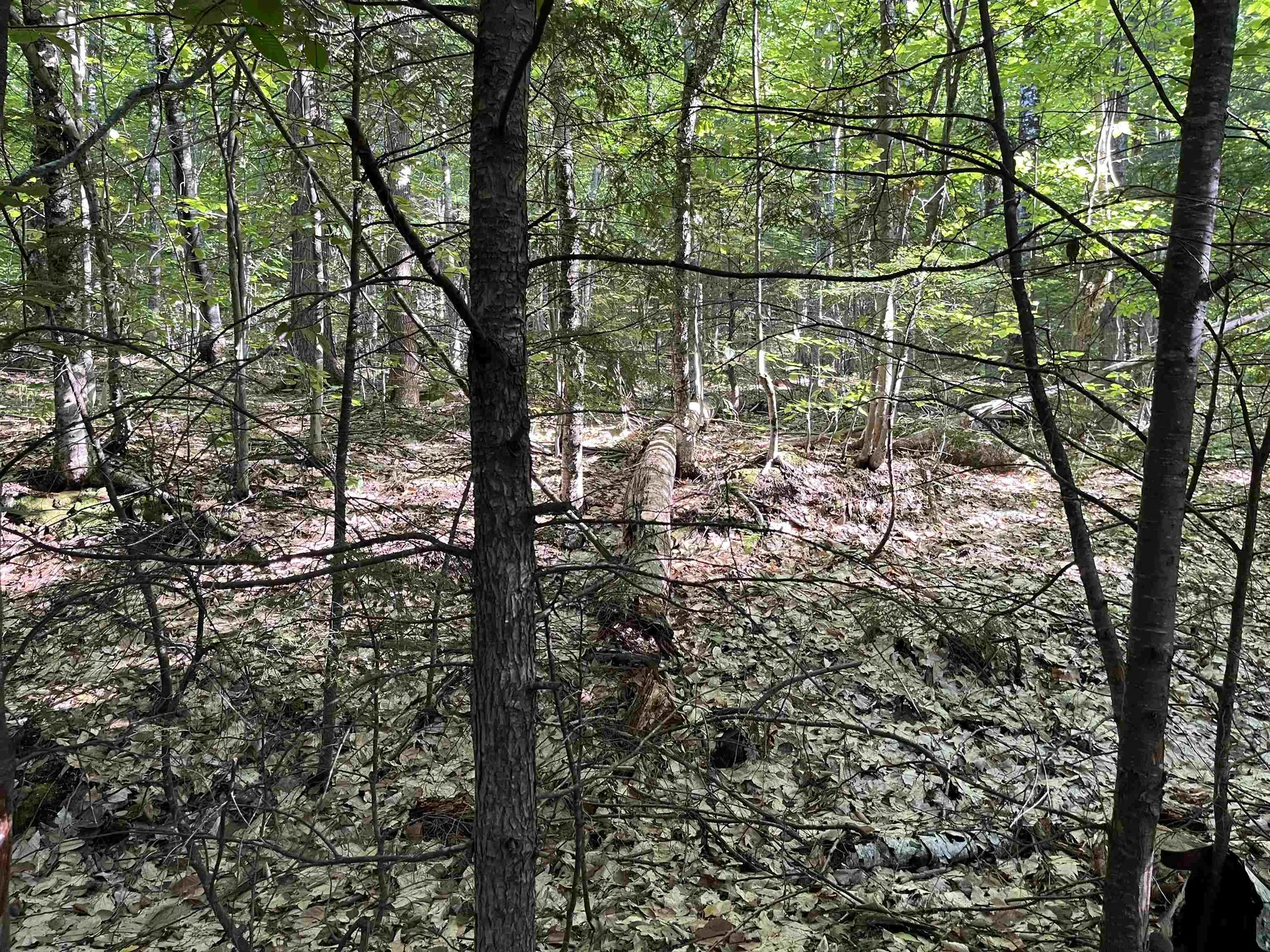 48 Amden Place Madison NH 03849