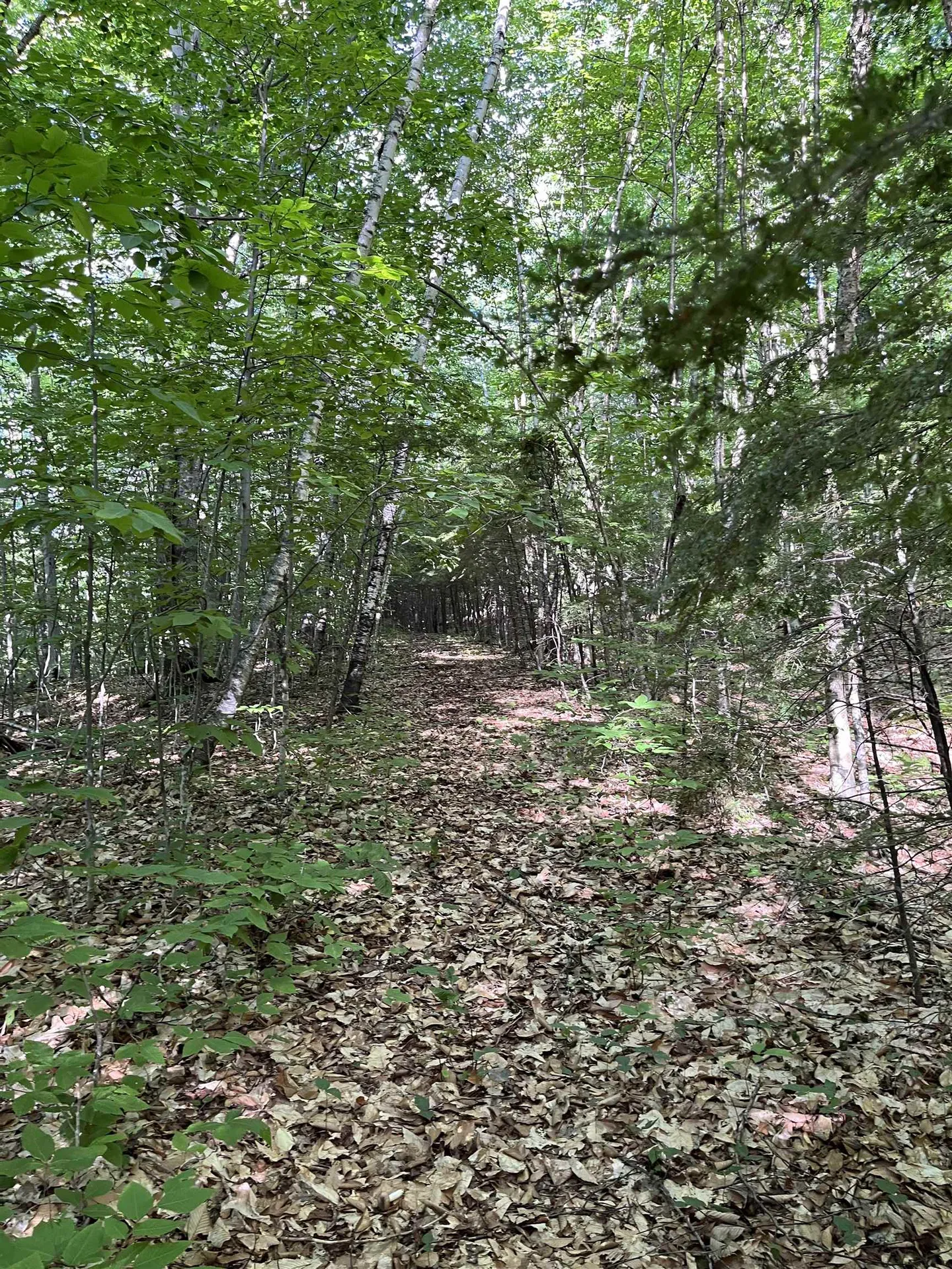 48 Amden Place Madison NH 03849