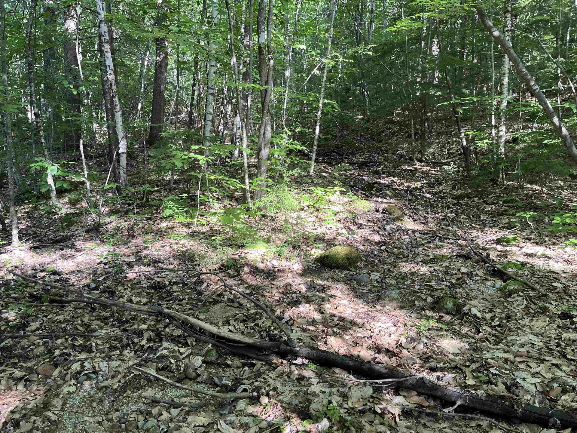 48 Amden Place Madison NH 03849