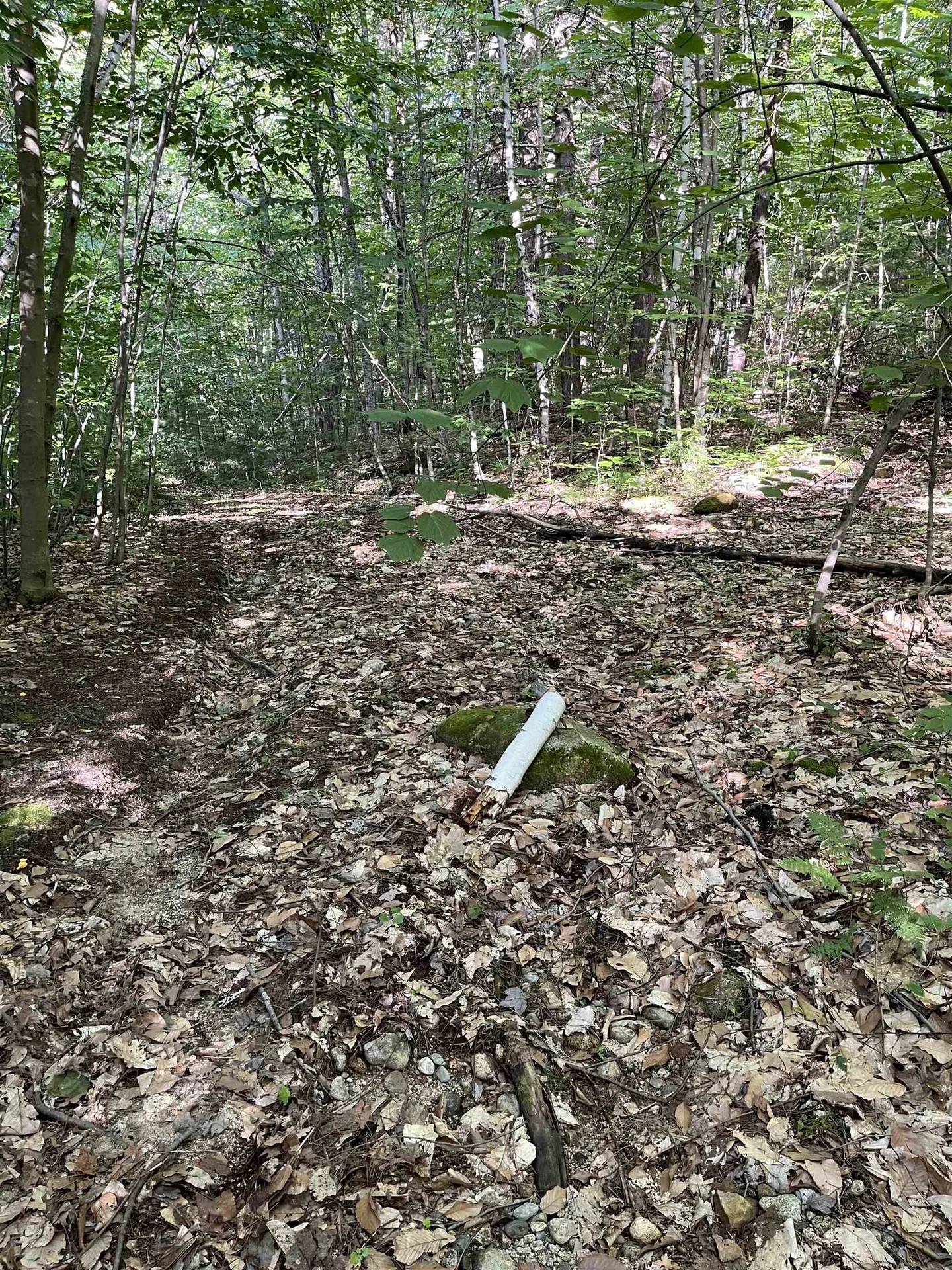 48 Amden Place Madison NH 03849