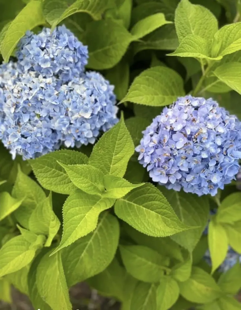 28 Woodridge Road Keene NH 03431