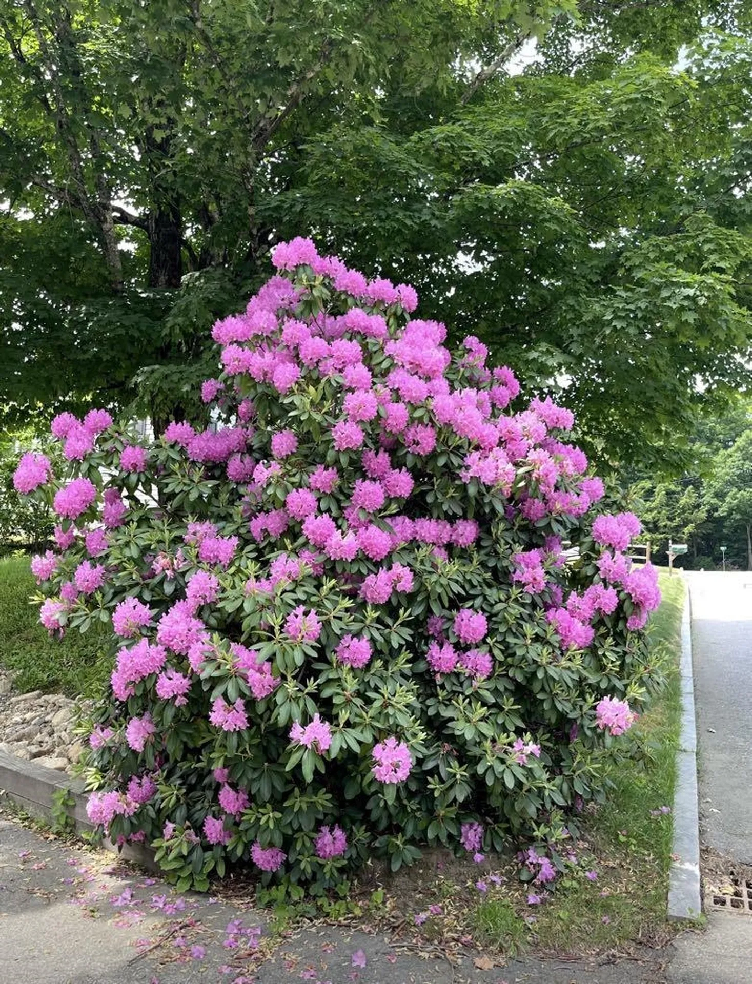 28 Woodridge Road Keene NH 03431