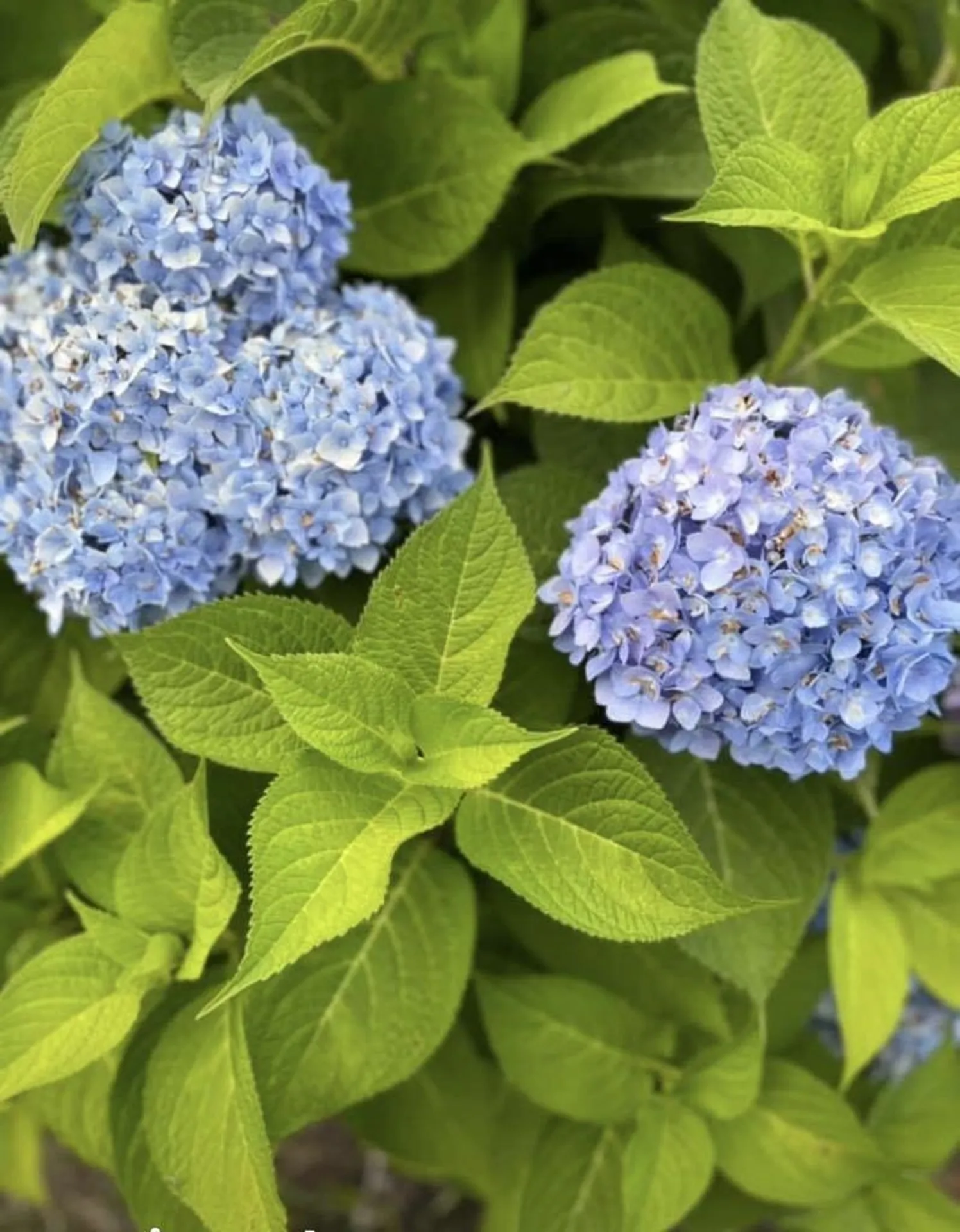 28 Woodridge Road Keene NH 03431