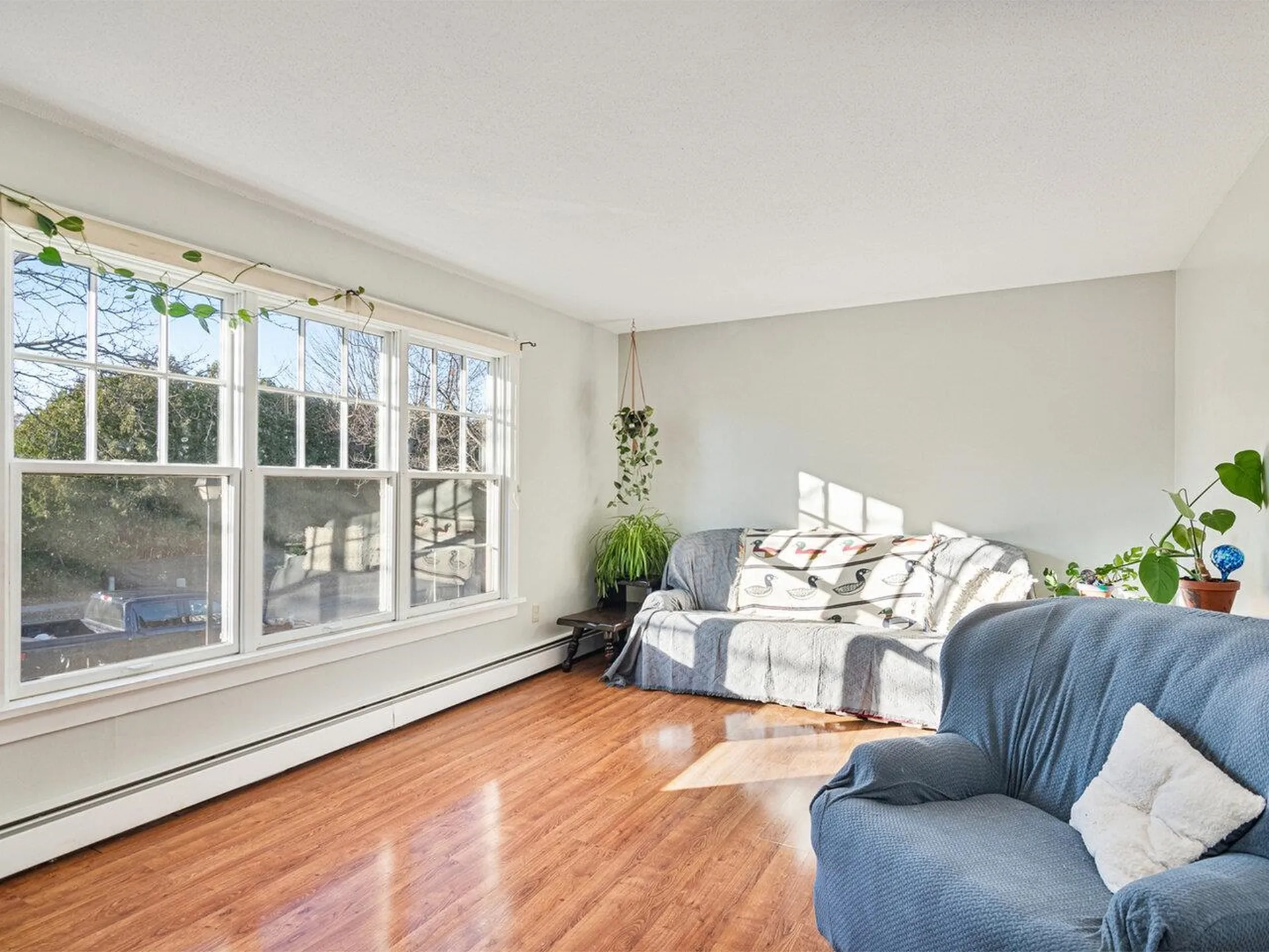 14 Hope Street Burlington VT 05401