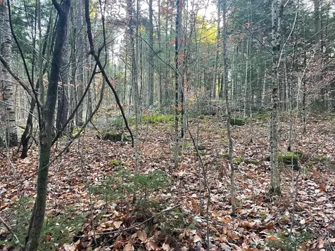 00 Manley Hill Road West Fairlee VT 05083