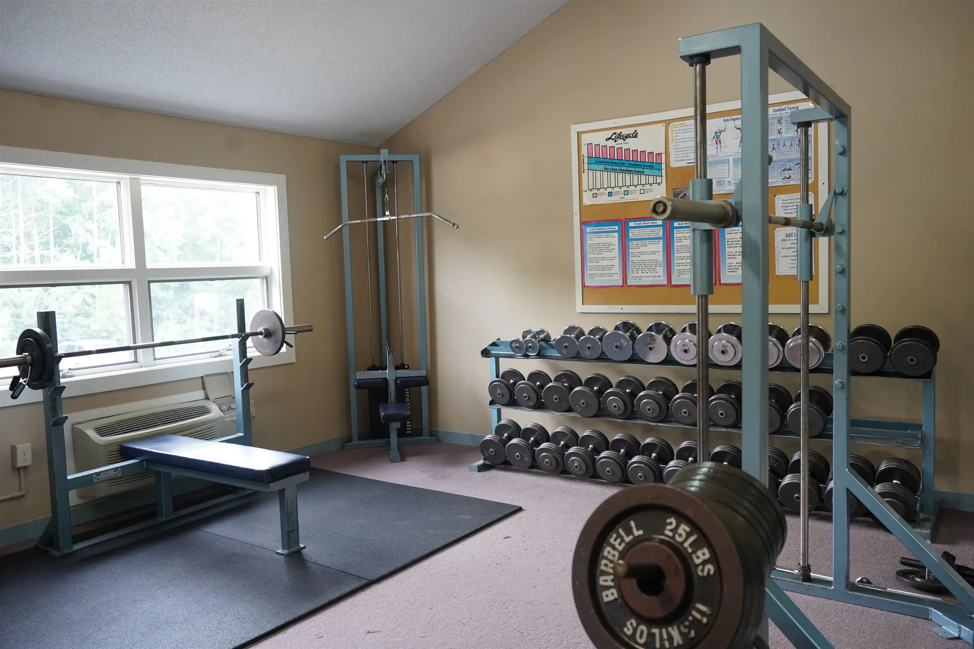 17 Harris Shore Road Gilford NH 03249