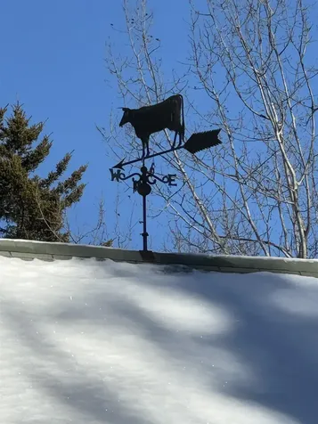 869 Cowpath 40 Marlboro VT 05344