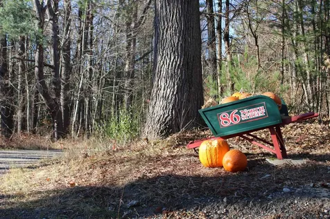 86 North Street Amherst NH 03031