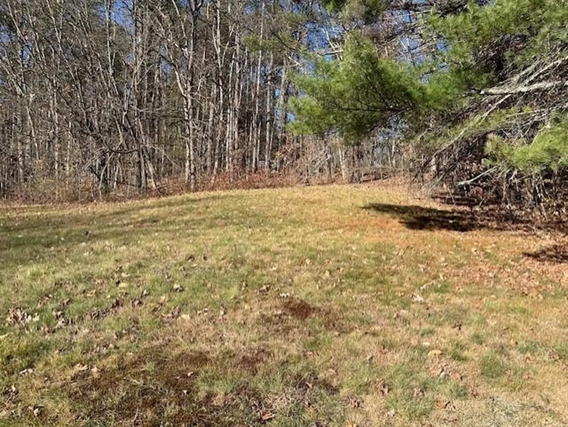 294c Pleasant Street Concord NH 03301