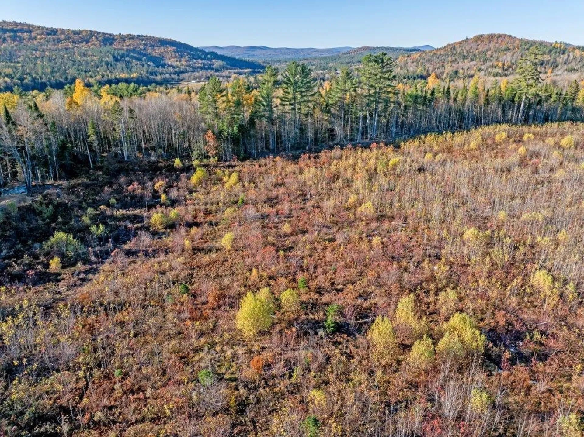 Lot 2 Mcintyre Road Dalton NH 03598