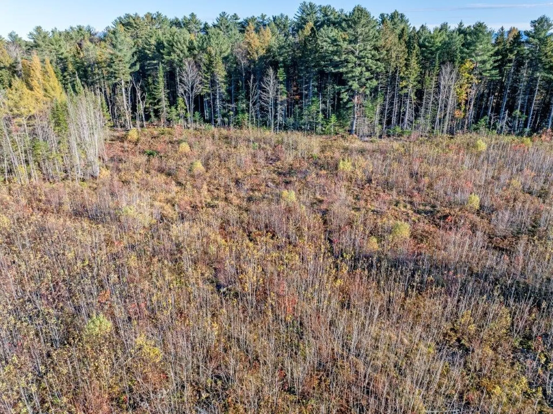 Lot 8 Mcintyre Road Dalton NH 03598