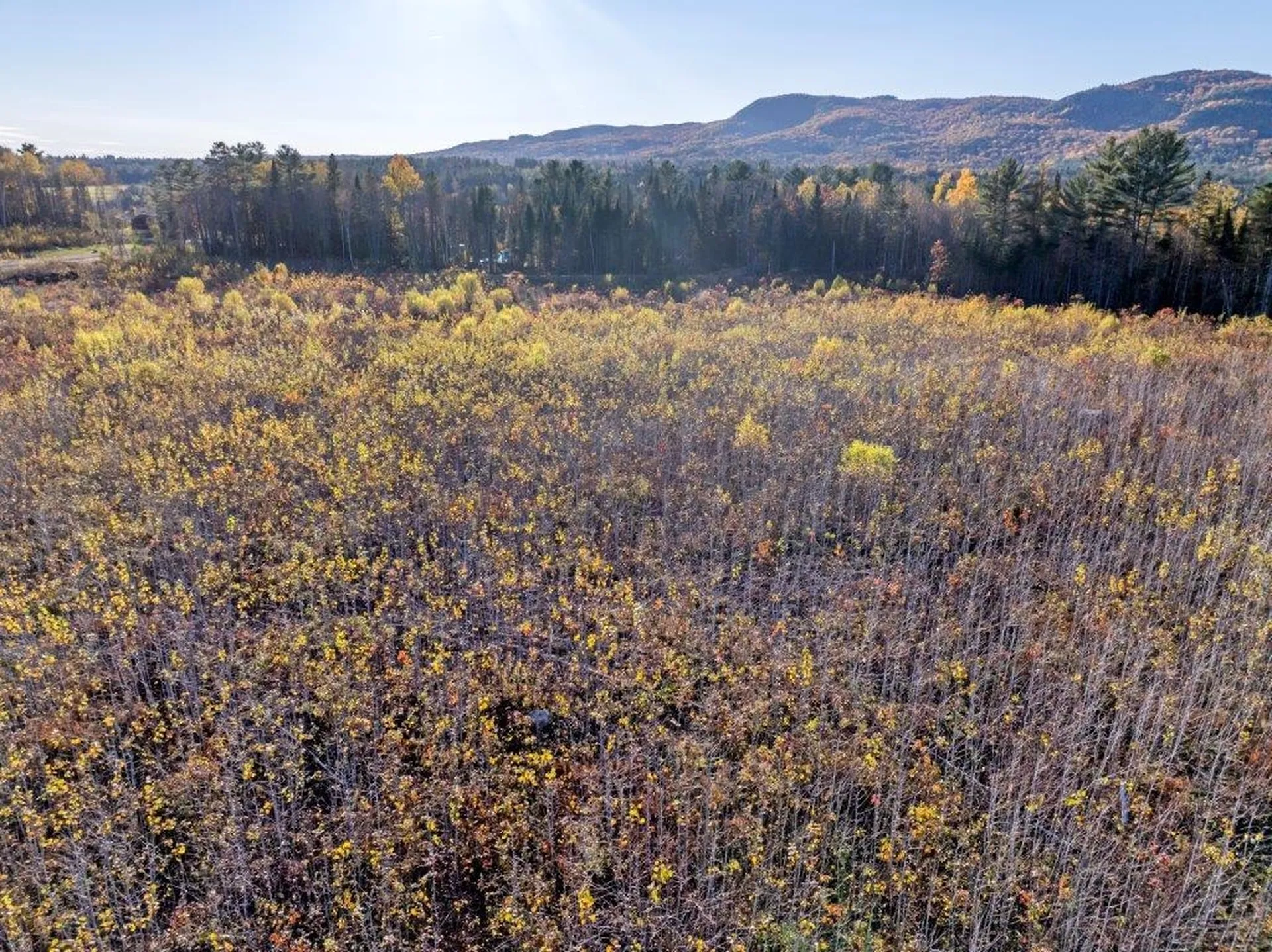 Lot 4 Mcintyre Road Dalton NH 03598