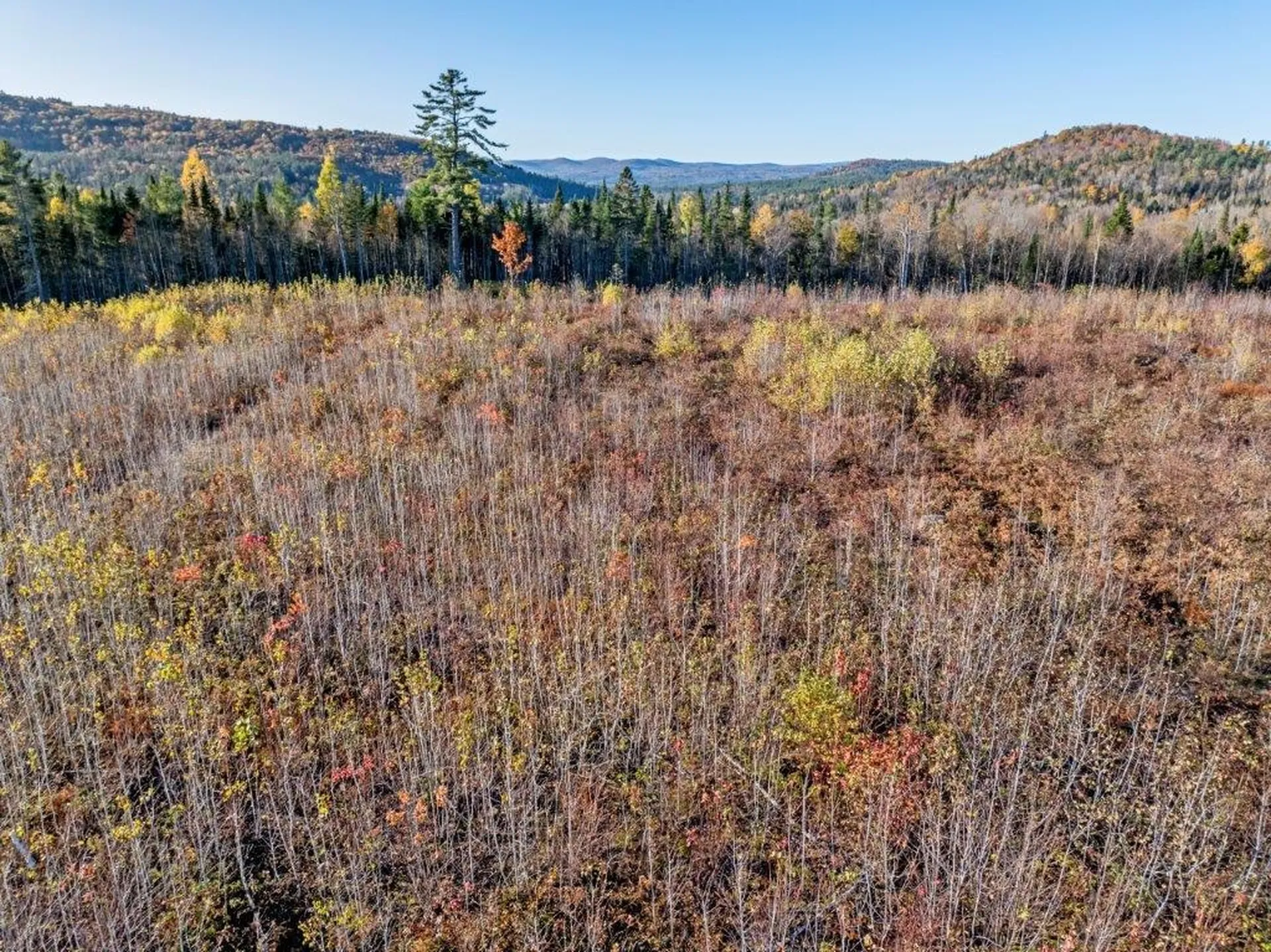 Lot 4 Mcintyre Road Dalton NH 03598