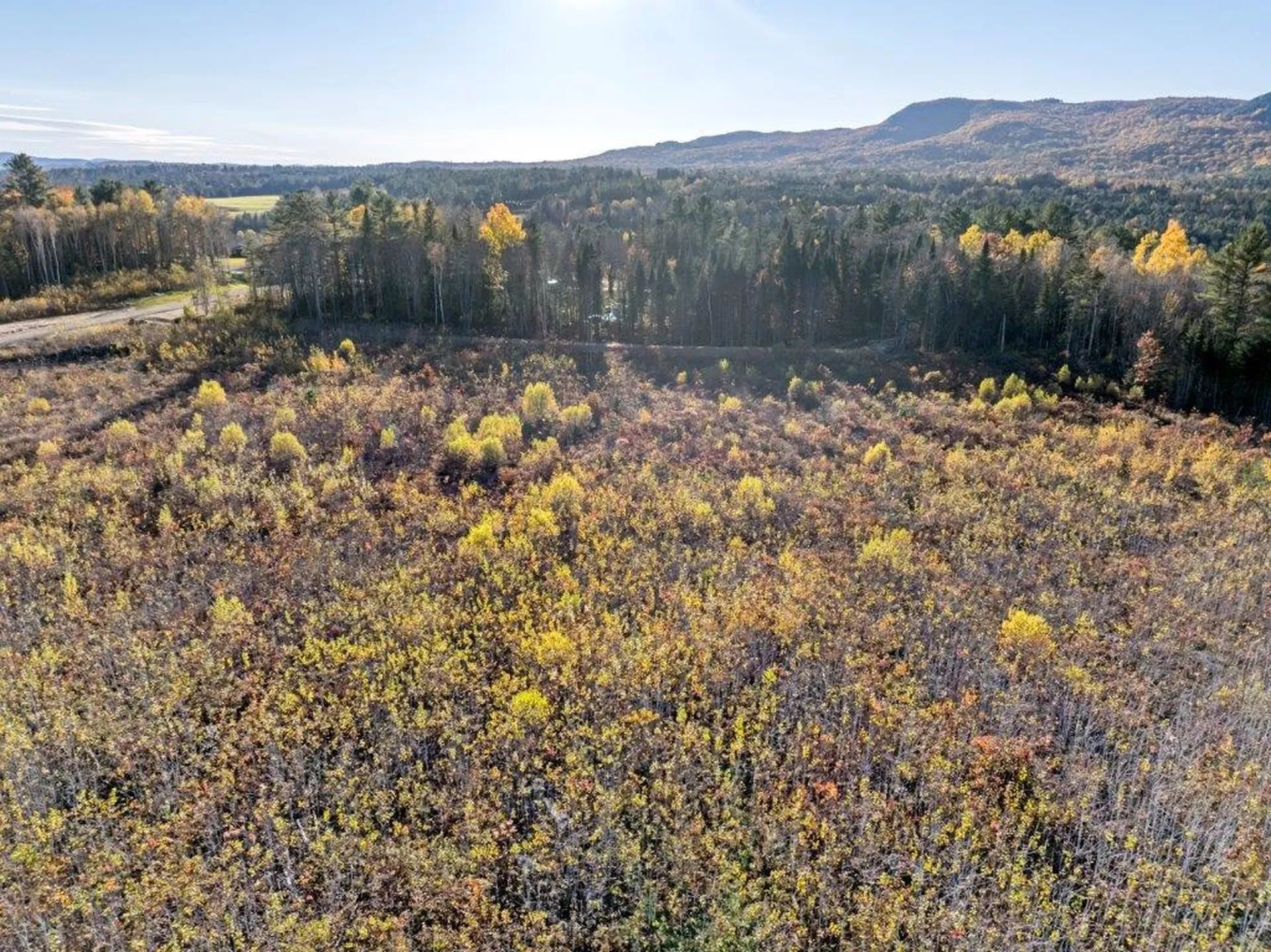 Lot 3 Mcintyre Road Dalton NH 03598