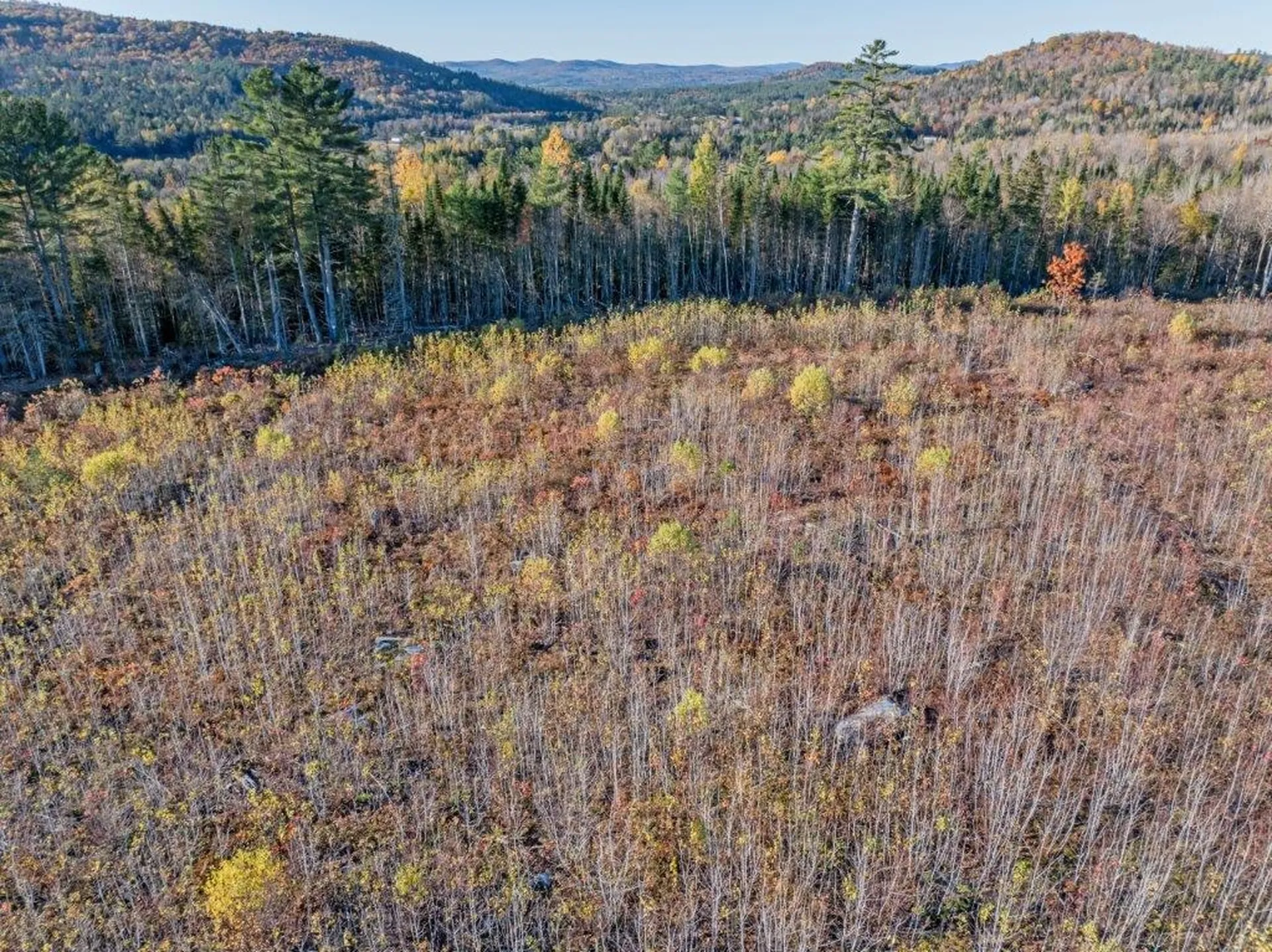 Lot 3 Mcintyre Road Dalton NH 03598