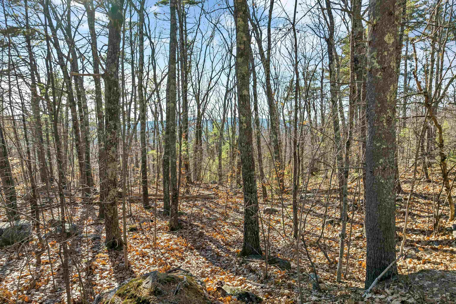 25 Upper Lakeview Drive Madison NH 03849