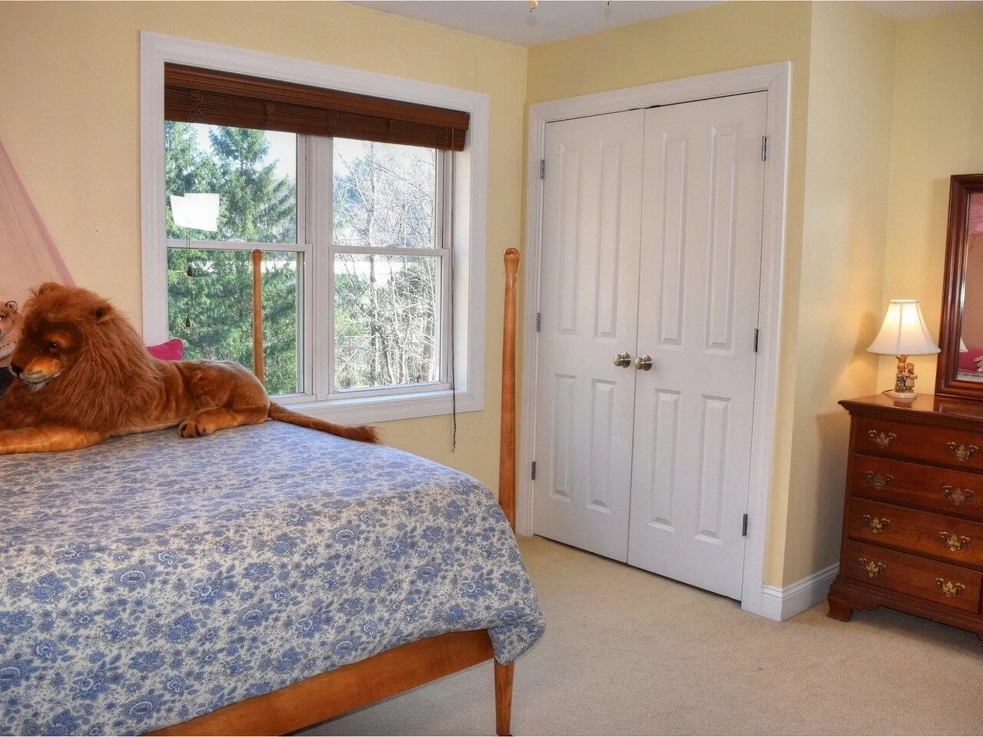 12 Lomeadow Road Hinesburg VT 05461