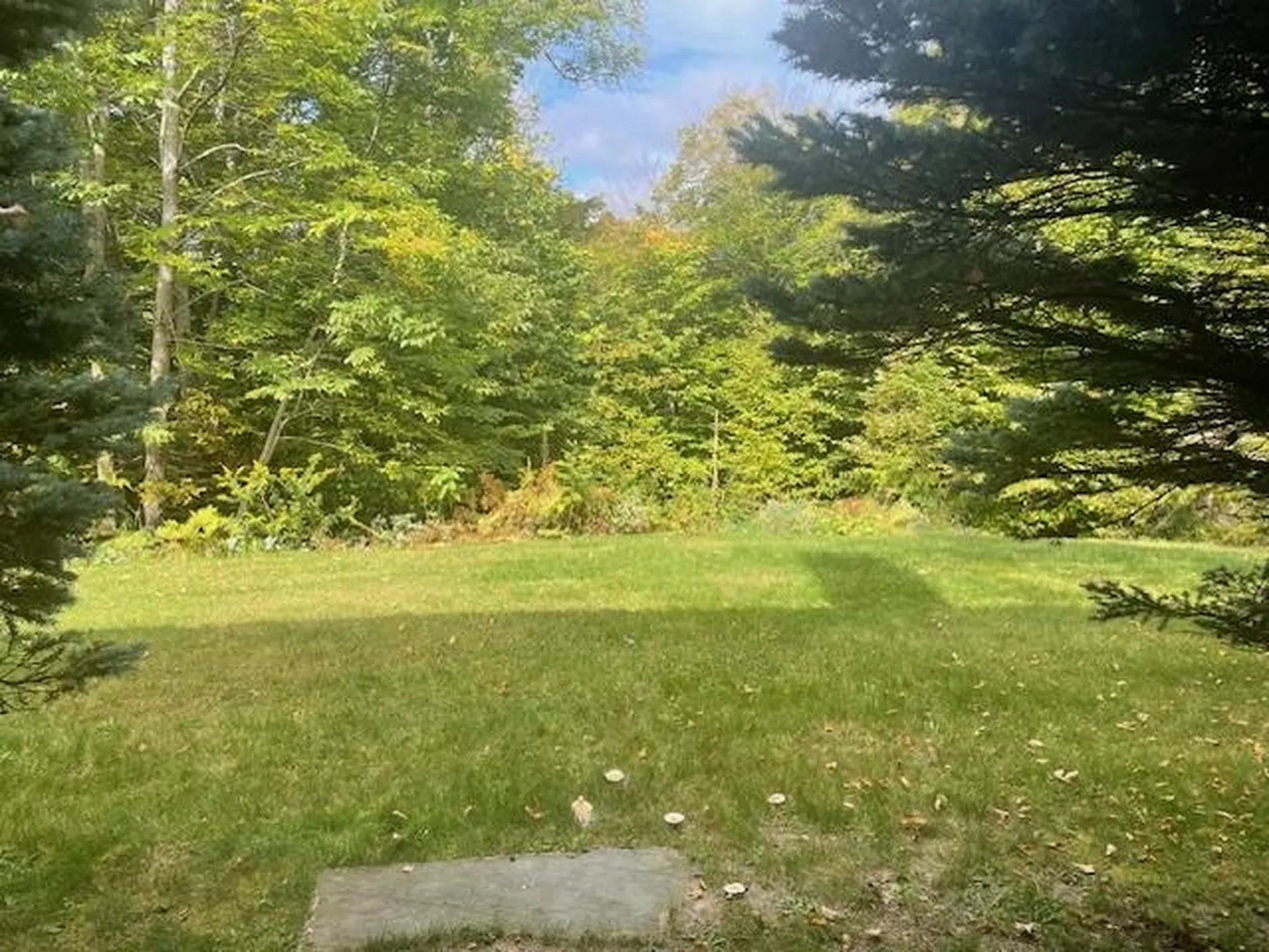 Benson Fuller Road Winhall VT 05340