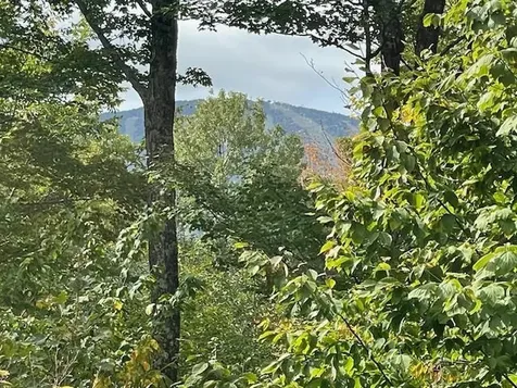 Benson Fuller Road Winhall VT 05340