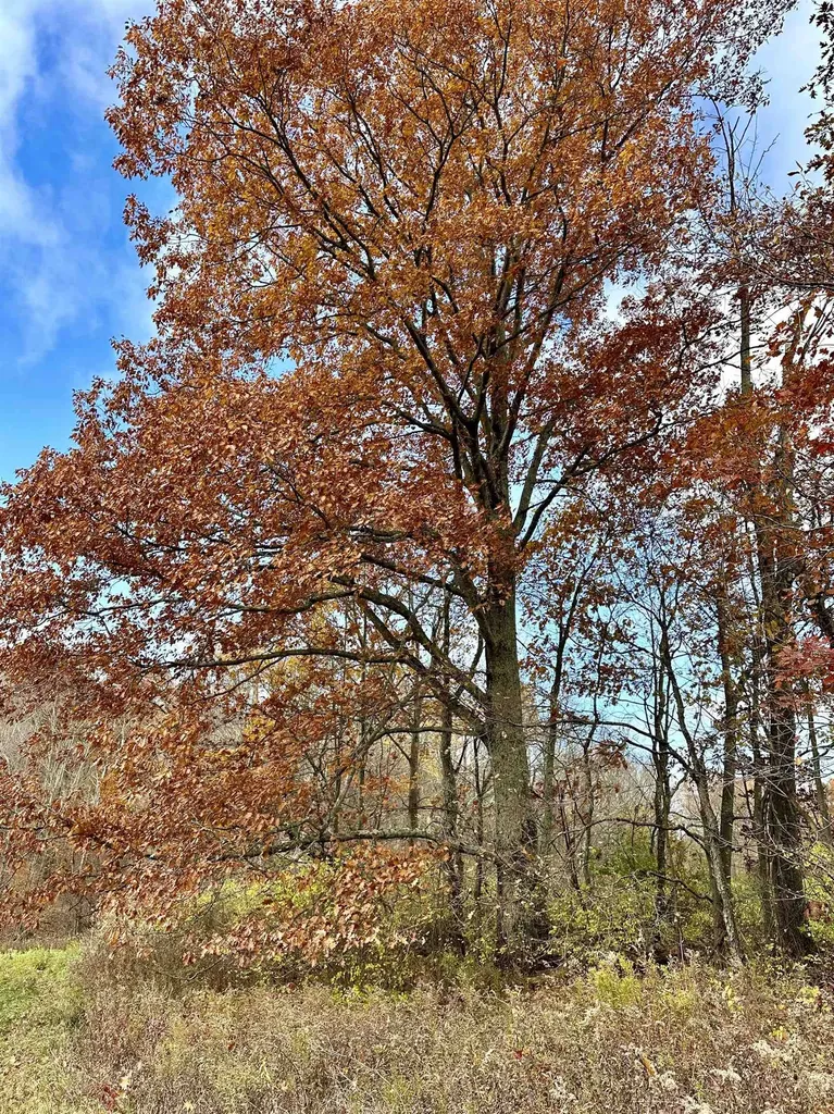 0 Hebron Road Rupert VT 05768