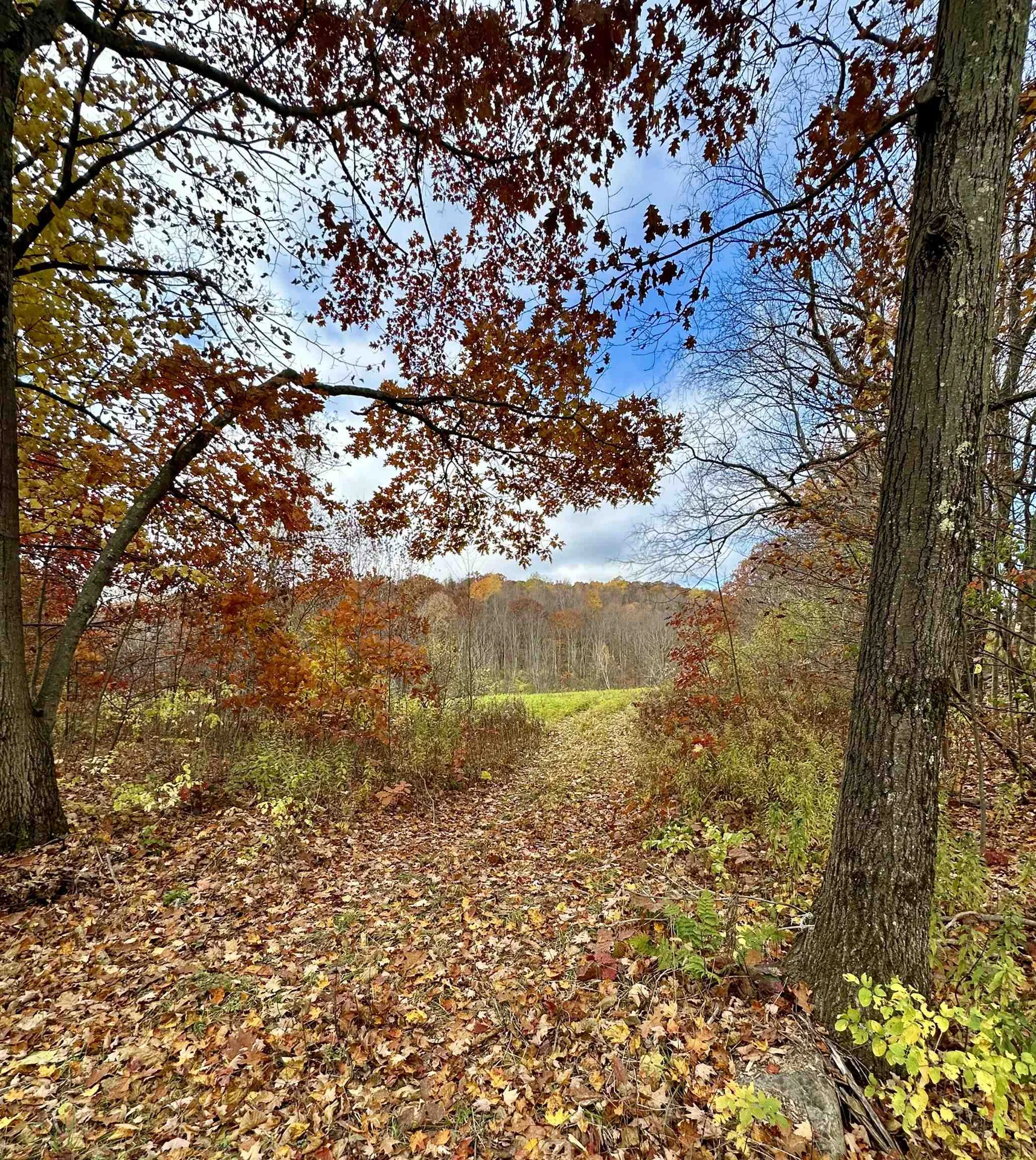 0 Hebron Road Rupert VT 05768