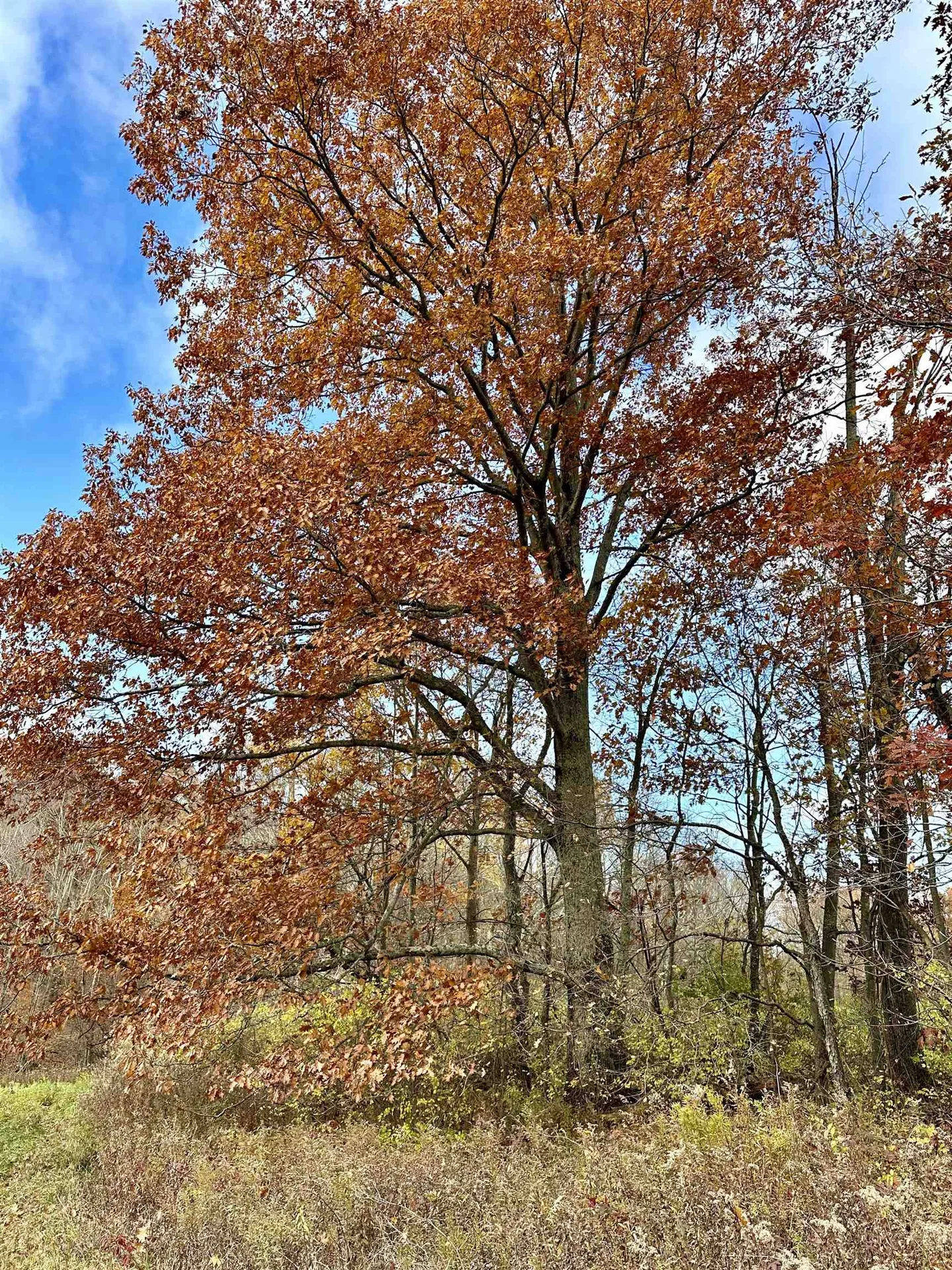 0 Hebron Road Rupert VT 05768