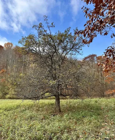 0 Hebron Road Rupert VT 05768