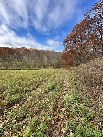 0 Hebron Road Rupert VT 05768