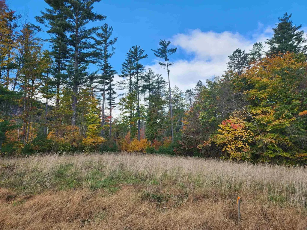 2 Lucy Brook Road Conway NH 03860