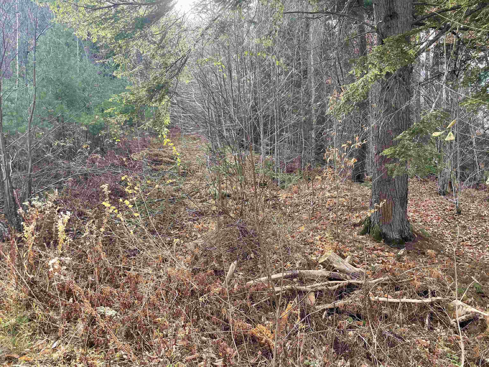 0 Yale Heights Road West Windsor VT 05037